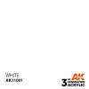 AK INTERACTIVE AK11001