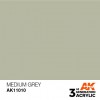 AK INTERACTIVE AK11010