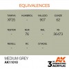 AK INTERACTIVE AK11010