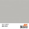 AK INTERACTIVE AK11012
