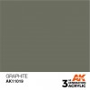 AK INTERACTIVE AK11019