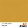 AK INTERACTIVE AK11034