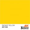 AK INTERACTIVE AK11046