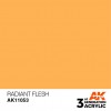 AK INTERACTIVE AK11053