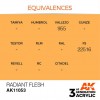 AK INTERACTIVE AK11053