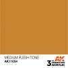 AK INTERACTIVE AK11054