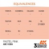 AK INTERACTIVE AK11059