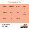 AK INTERACTIVE AK11060