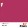 AK INTERACTIVE AK11067