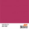 AK INTERACTIVE AK11067