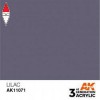 AK INTERACTIVE AK11071