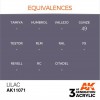 AK INTERACTIVE AK11071