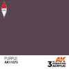 AK INTERACTIVE AK11073
