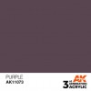 AK INTERACTIVE AK11073