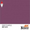 AK INTERACTIVE AK11074