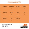 AK INTERACTIVE AK11076