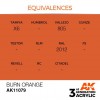 AK INTERACTIVE AK11079