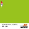 AK INTERACTIVE AK11129