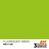 AK INTERACTIVE AK11129