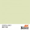 AK INTERACTIVE AK11132