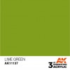 AK INTERACTIVE AK11137