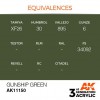 AK INTERACTIVE AK11150