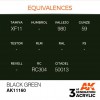 AK INTERACTIVE AK11160