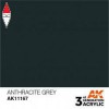 AK INTERACTIVE AK11167