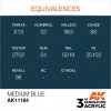 AK INTERACTIVE AK11184