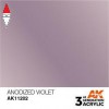 AK INTERACTIVE AK11202