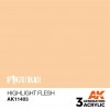 AK INTERACTIVE AK11403