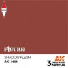 AK INTERACTIVE AK11404