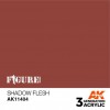 AK INTERACTIVE AK11404