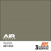 AK INTERACTIVE AK11816