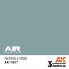 AK INTERACTIVE AK11817