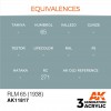 AK INTERACTIVE AK11817