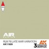AK INTERACTIVE AK11829