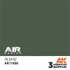 AK INTERACTIVE AK11838
