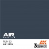 AK INTERACTIVE AK11839