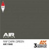 AK INTERACTIVE AK11840