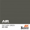 AK INTERACTIVE AK11840