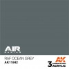 AK INTERACTIVE AK11842