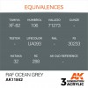AK INTERACTIVE AK11842