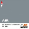AK INTERACTIVE AK11843