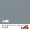 AK INTERACTIVE AK11843