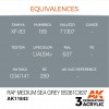AK INTERACTIVE AK11843