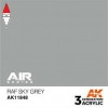 AK INTERACTIVE AK11848
