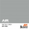 AK INTERACTIVE AK11848