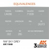 AK INTERACTIVE AK11848