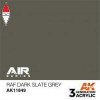 AK INTERACTIVE AK11849